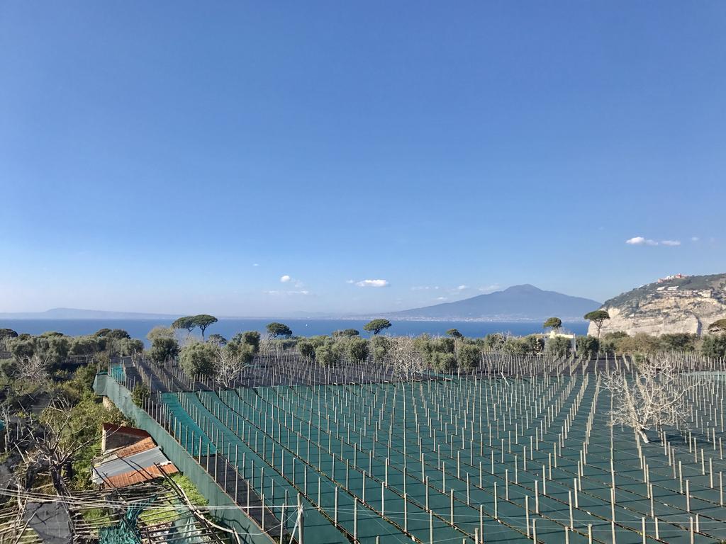 Estate4Home - Villa Lina Sant'Agnello Buitenkant foto